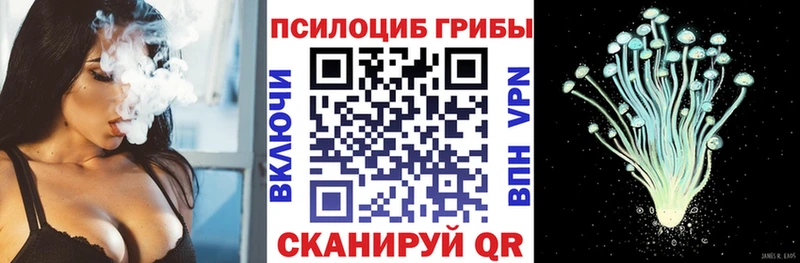 блэк спрут сайт  как найти закладки  Юрьевец  Псилоцибиновые грибы прущие грибы 